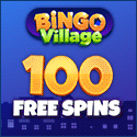 Bingo Village image